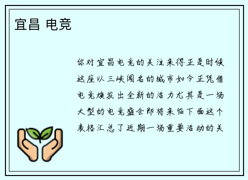 宜昌 电竞